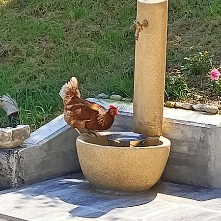 Casa Castegner - 3* Seren del Grappa