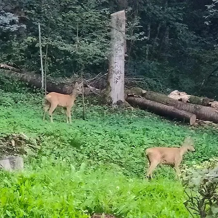 Casa Castegner - 3* Seren del Grappa